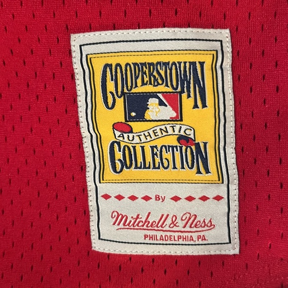 Cincinnati Reds Johnny Bench Mitchell and Ness practice jersey - Picture 3 of 4